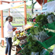 Elaine Proctor, a resident of the Lower Ninth Ward, shops at the Fresh Stop Market that Sankofa runs on Claude Avenue.